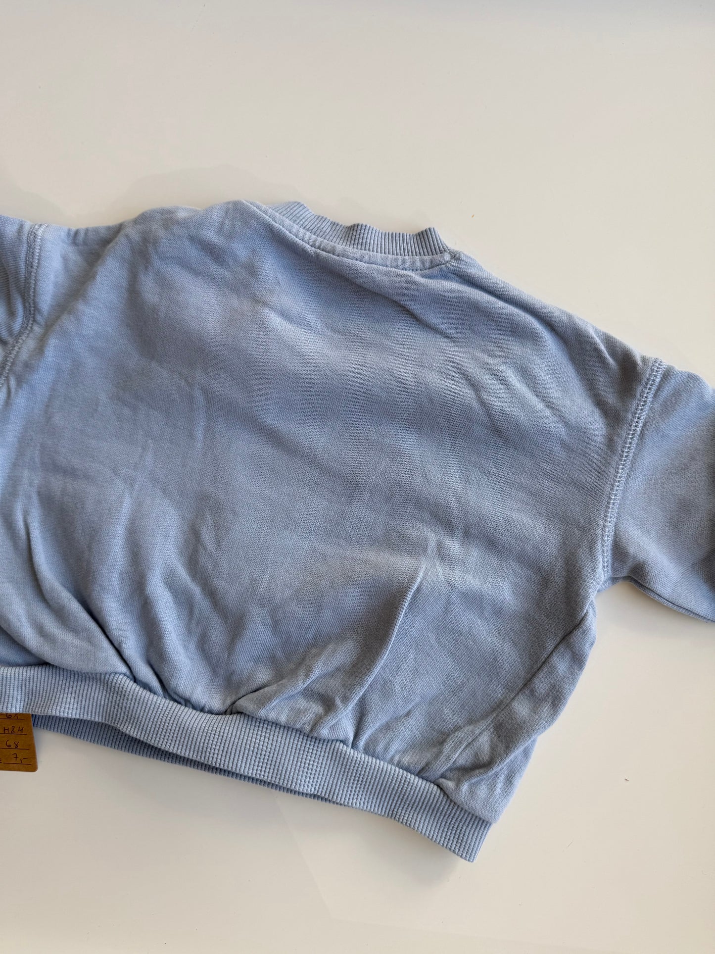 H&M Sweatshirt Vogel Skateboard hellblau 68
