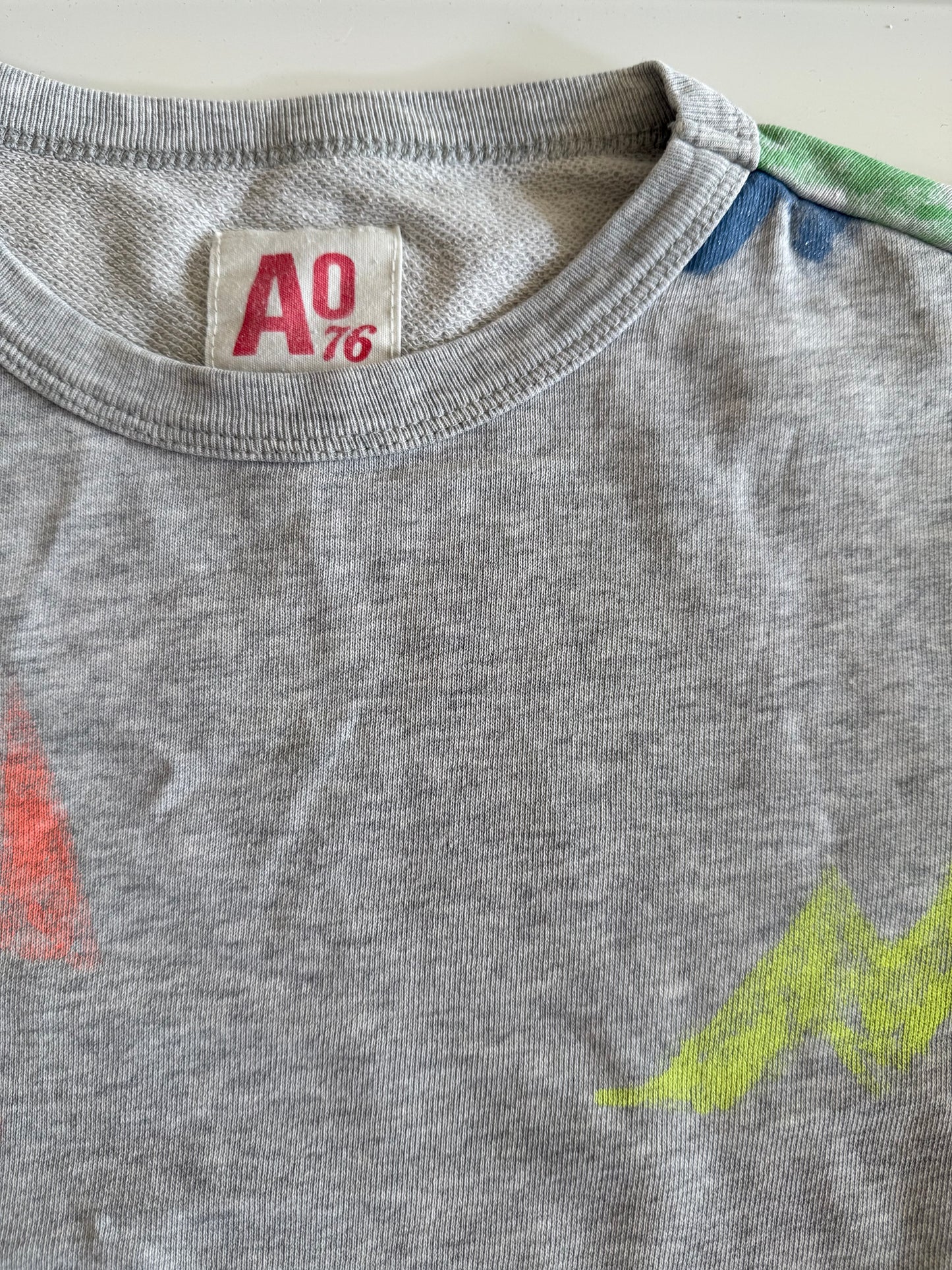 AO76 Sweatshirt grau bunt 152