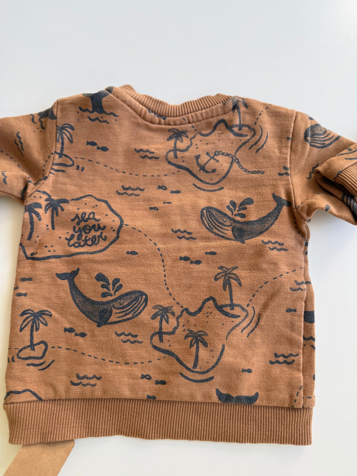 FEETJE Sweatshirt gone Surfing braun 62