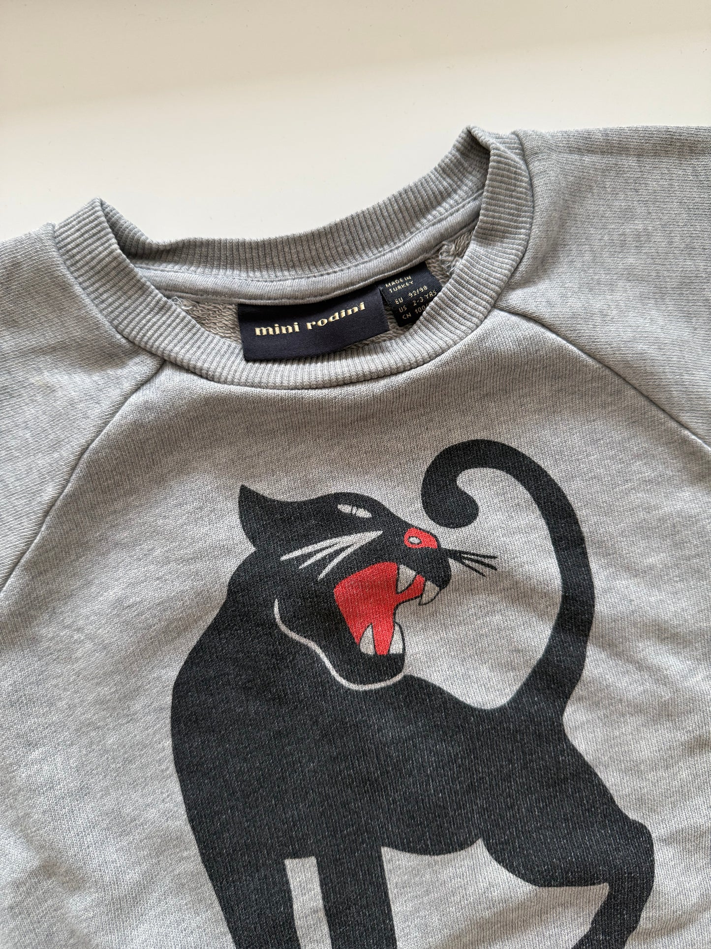 MINI RODINI Sweatshirt grau Panther 92/98