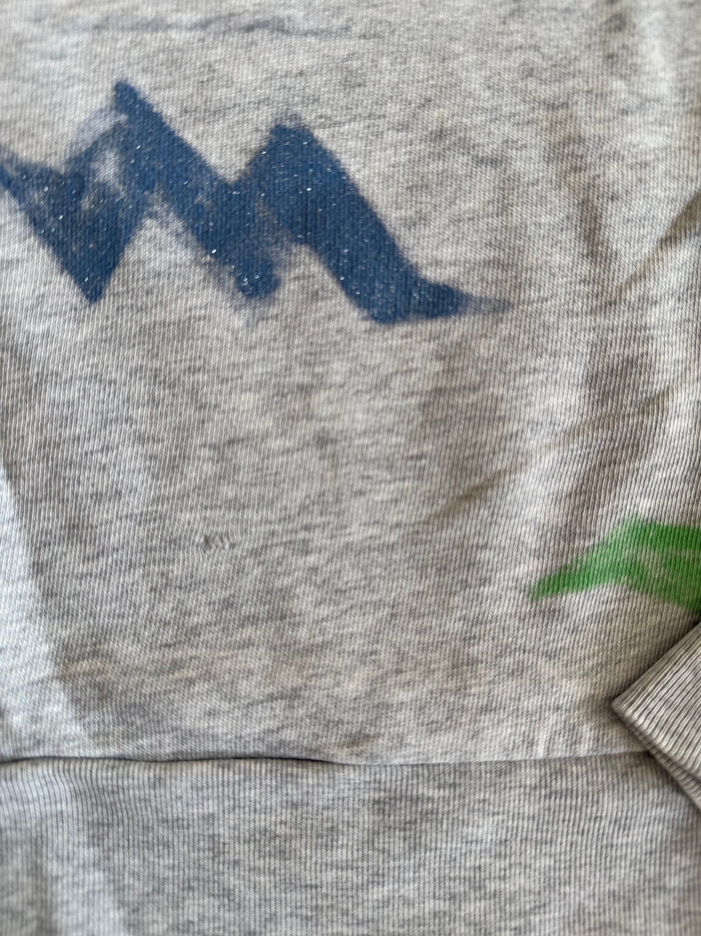 AO76 Sweatshirt grau bunt 152