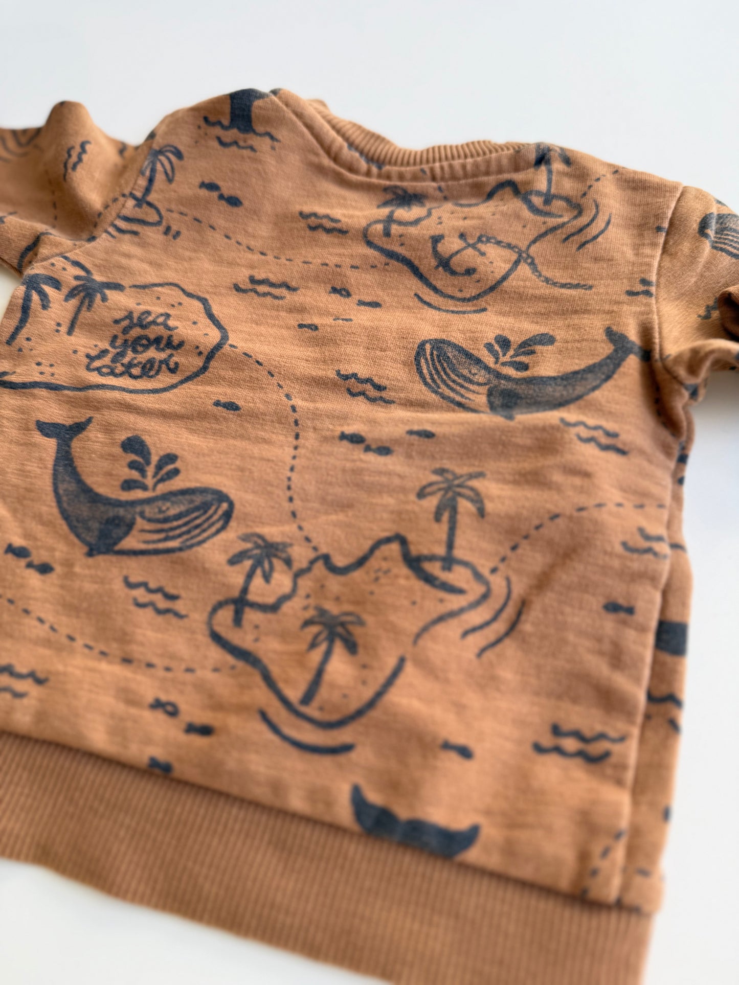 FEETJE Sweatshirt gone Surfing braun 62