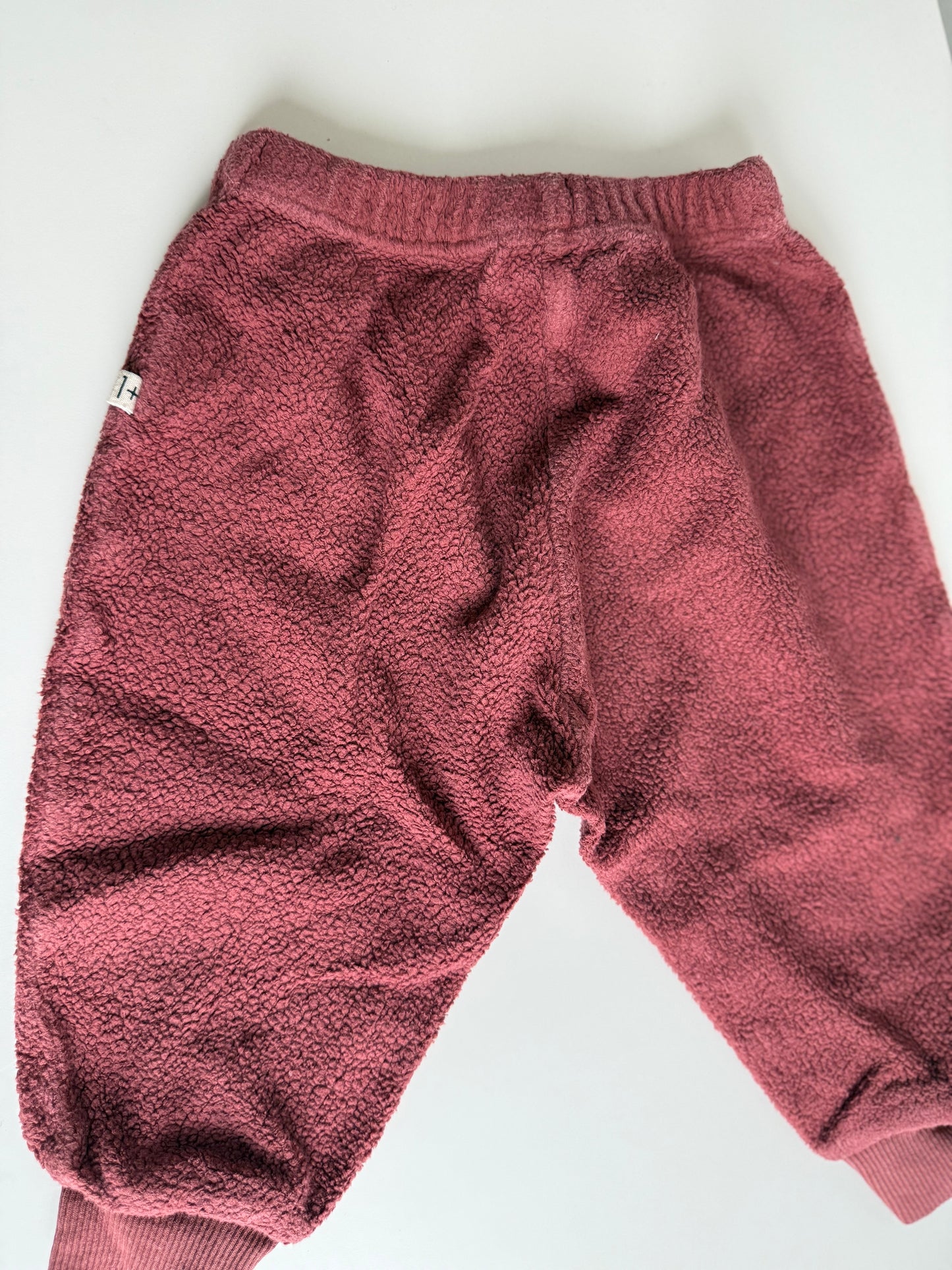 1+ IN THE FAMILY Frottee Hose Burgund 74