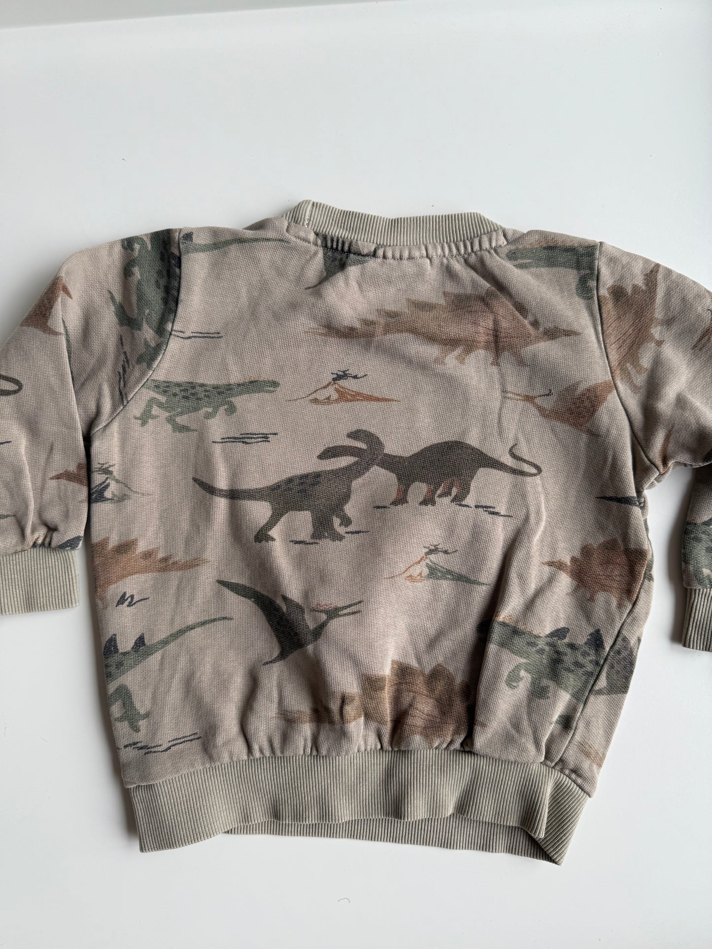 STURDY Sweatshirt Dinos beige braun 92