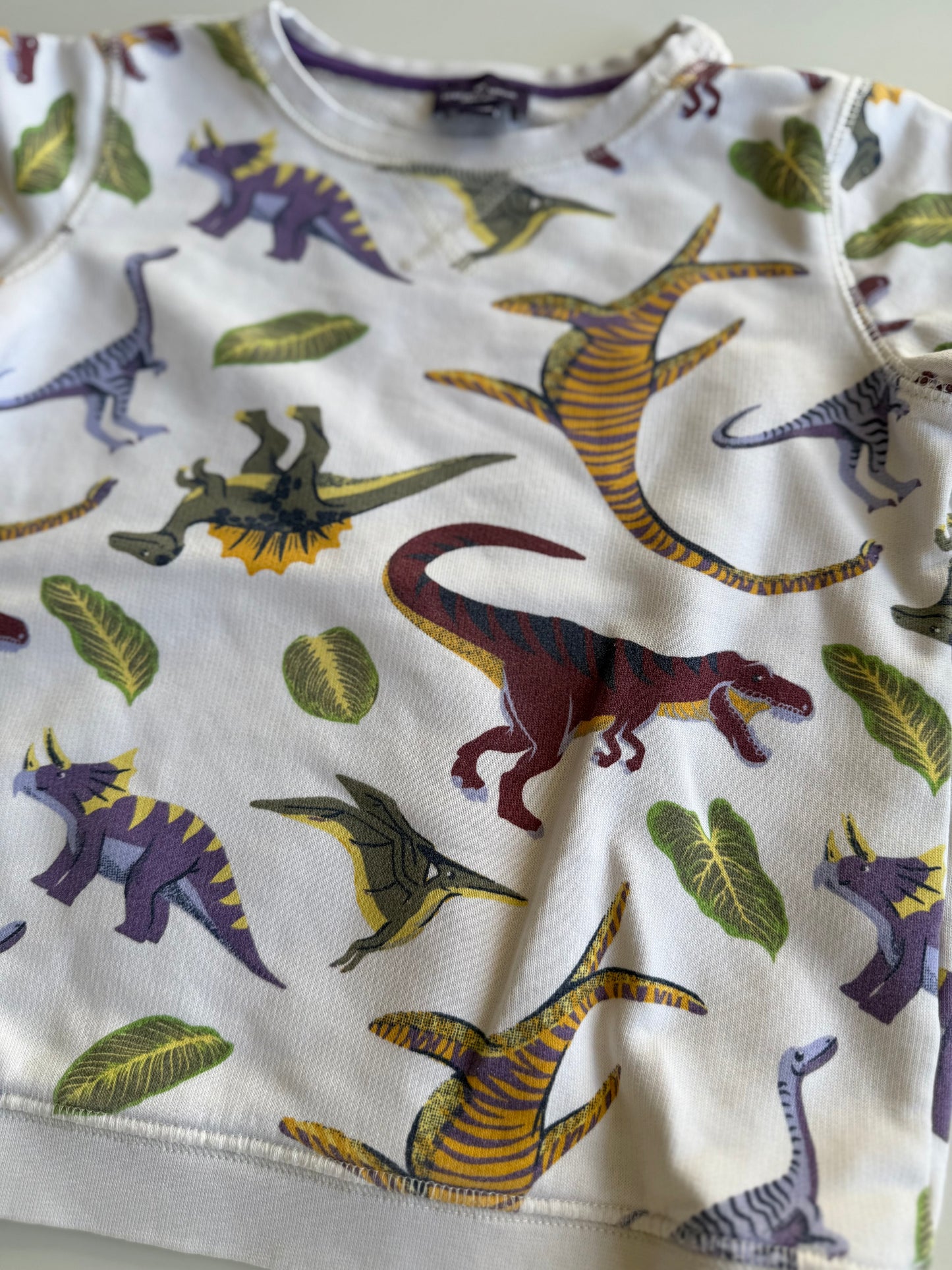 SERGENT MAJOR Sweatshirt Dinos weiß 98