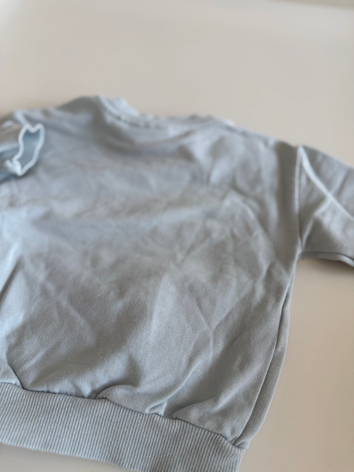 SANETTA Sweatshirt wonder hellblau 68