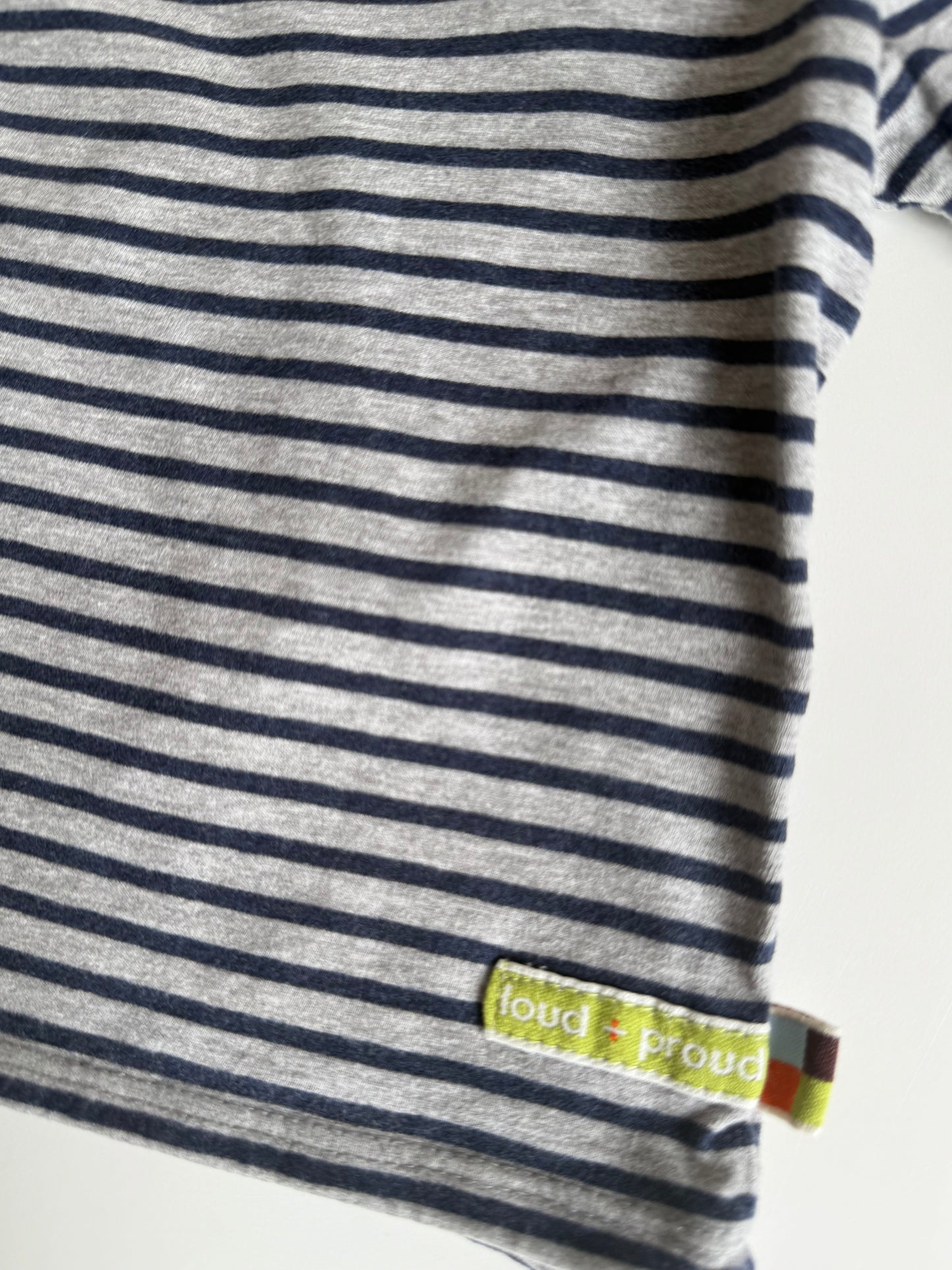 LOUD & PROUD Langarmshirt Blau grau grün 62/68