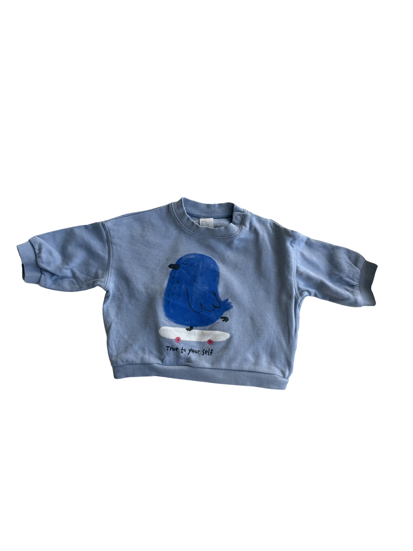 H&M Sweatshirt Vogel Skateboard hellblau 68