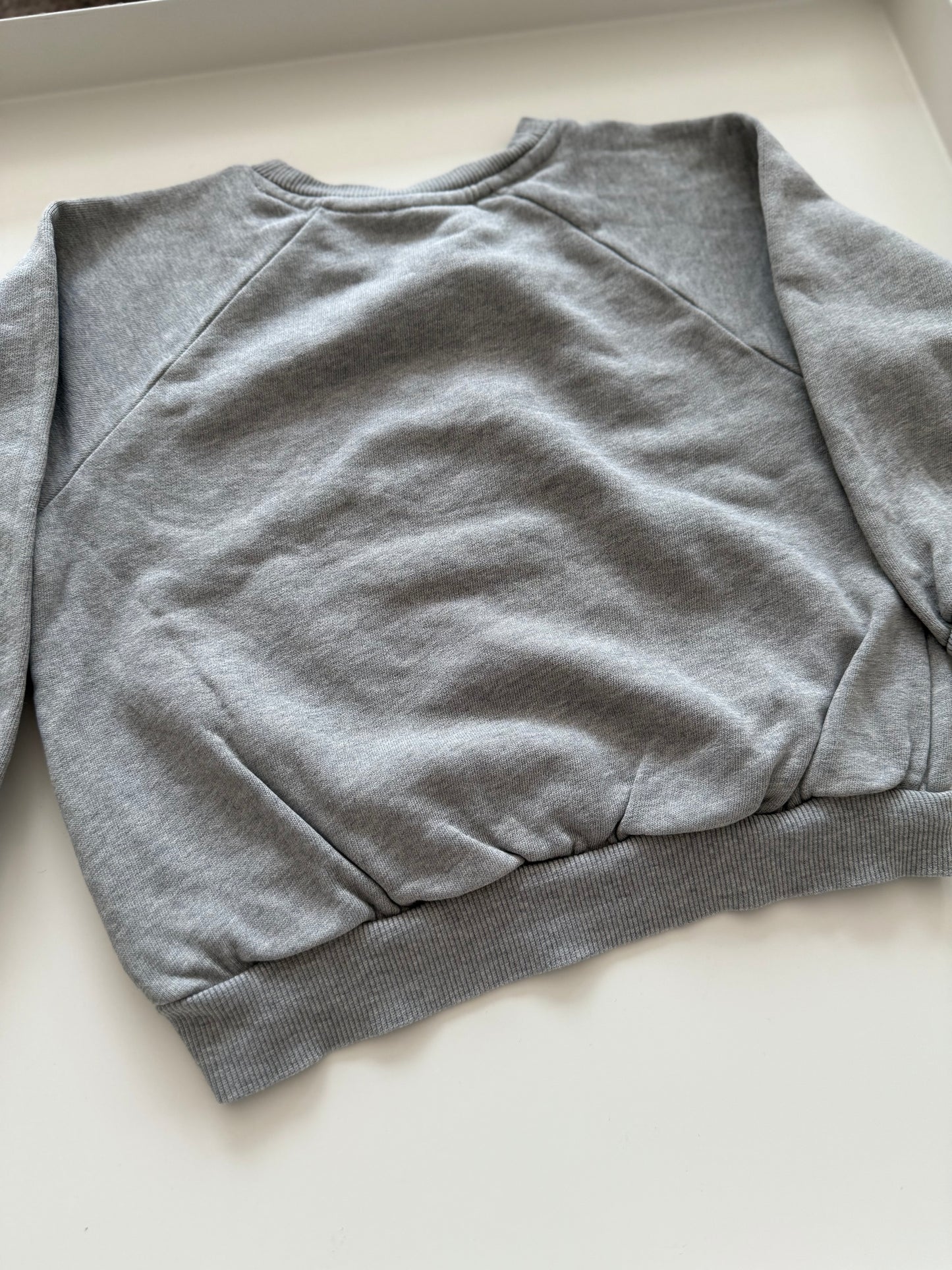 MINI RODINI Sweatshirt grau Panther 92/98