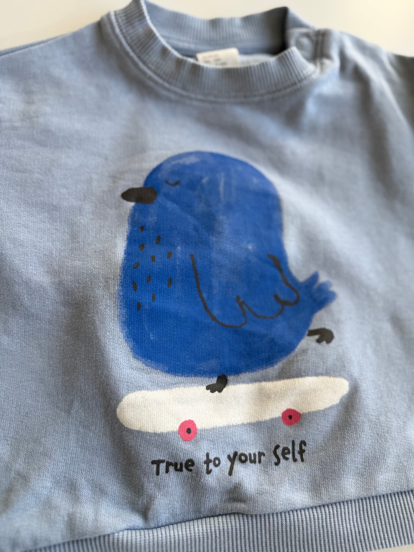 H&M Sweatshirt Vogel Skateboard hellblau 68