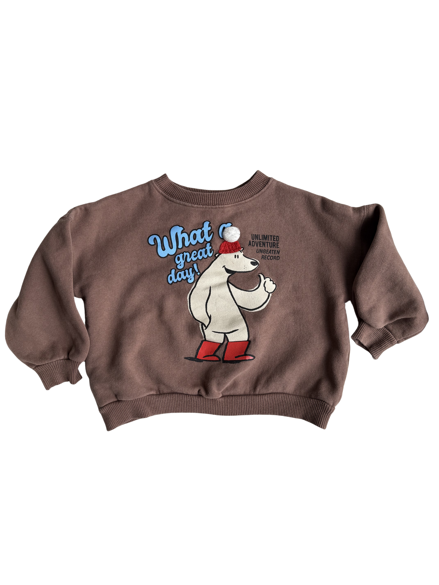 ZARA Sweatshirt braun Eisbär 92/98
