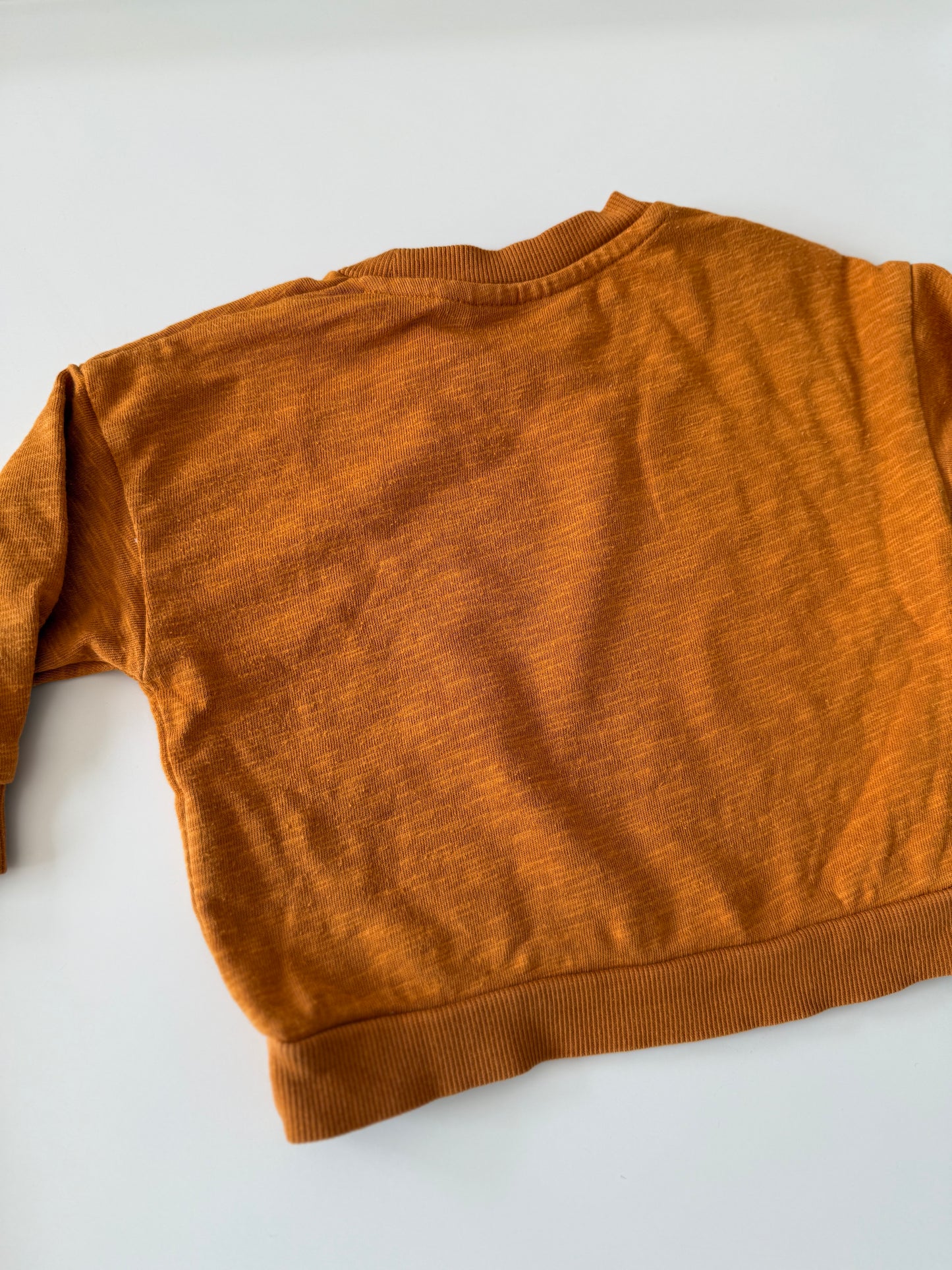 MINI RODINI Sweatshirt Krokodil braun 68/74